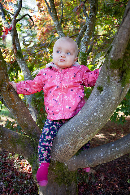 Family Photography in Wiltshire