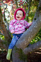 A toddler laughs while sitting in an tree in the autumn