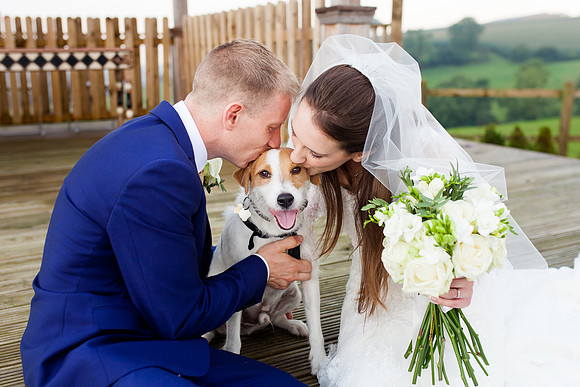 A Bride and Groom share their wedding day with their beloved dog