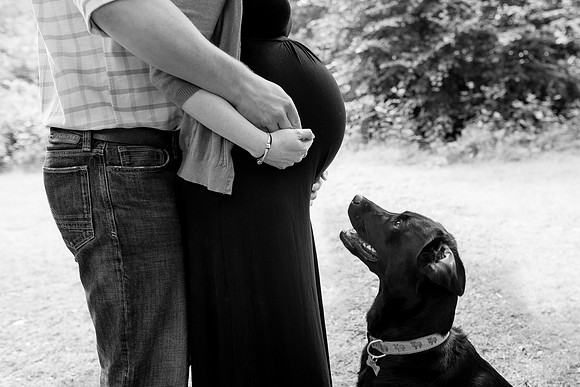 Family Photography in Wiltshire